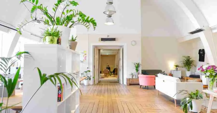 Keep Always natural light Inside the Home for better health.