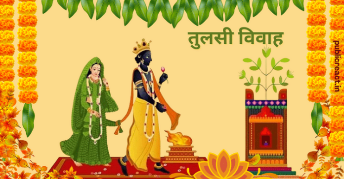 Tulsi Vivah Shubh Muhurat 2023, Puja Time in Hindi.