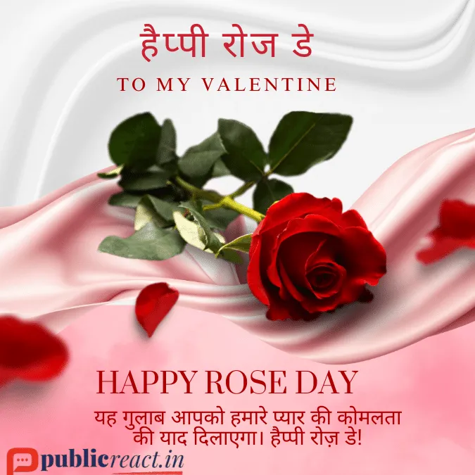रोज़ डे की विशेस