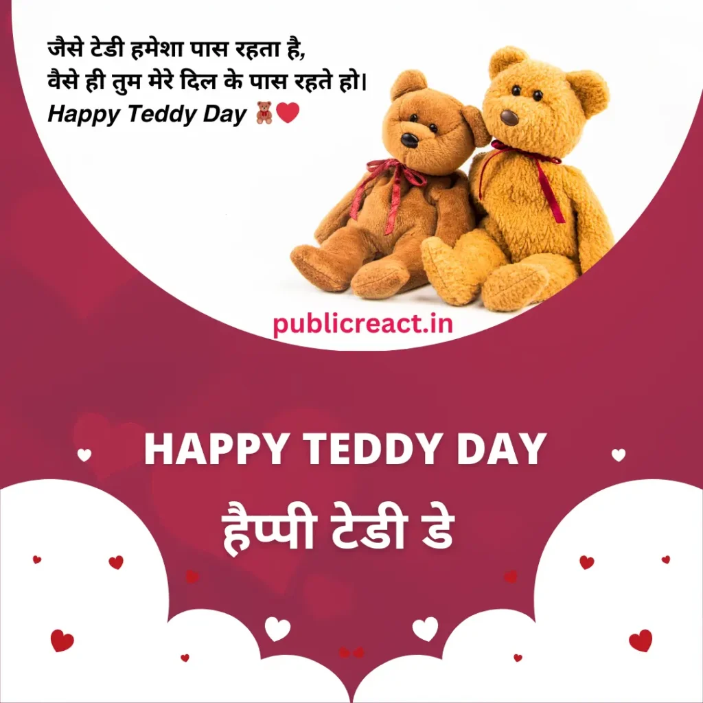 Teddy Day Wishes in Hindi (टेडी डे )